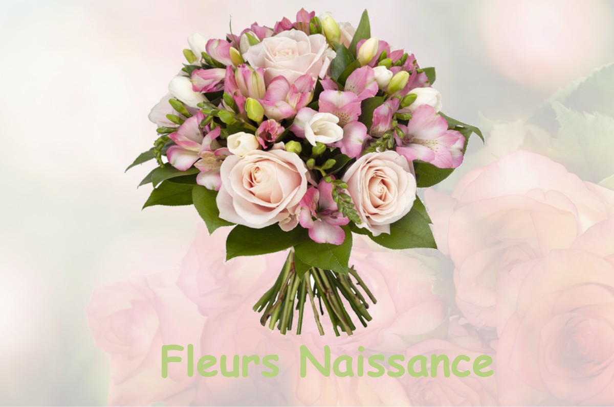 fleurs naissance SAINT-YRIEIX-LA-PERCHE